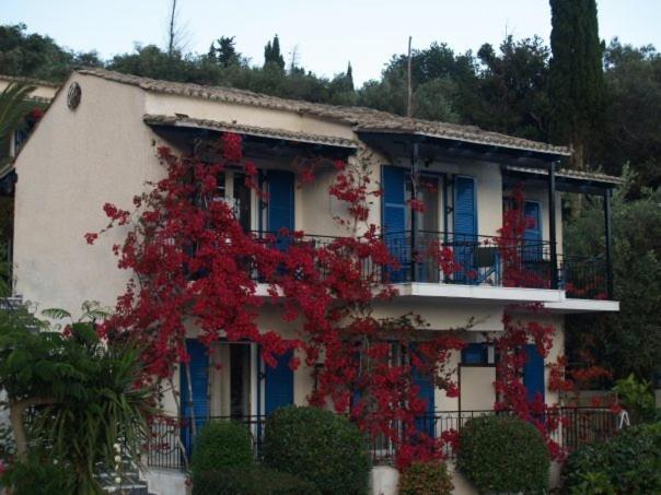 Villa Fiorita Παλαιοκαστρίτσα Εξωτερικό φωτογραφία